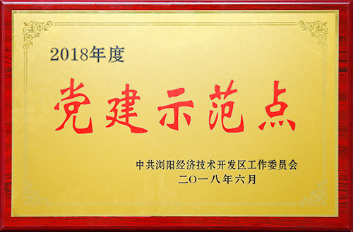 2018年度党建示范点